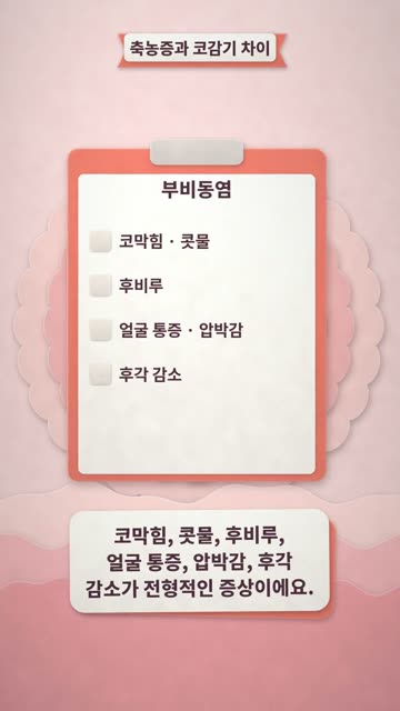 페이퍼컷 팝업 4